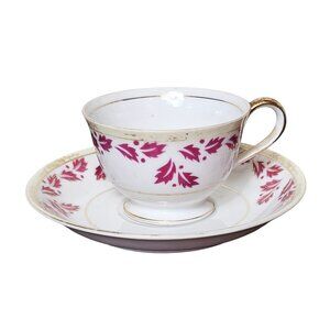 Ucagco China Vintage Tea Cup Saucer Set Pink Foliage Leaf Design Occupied Japan